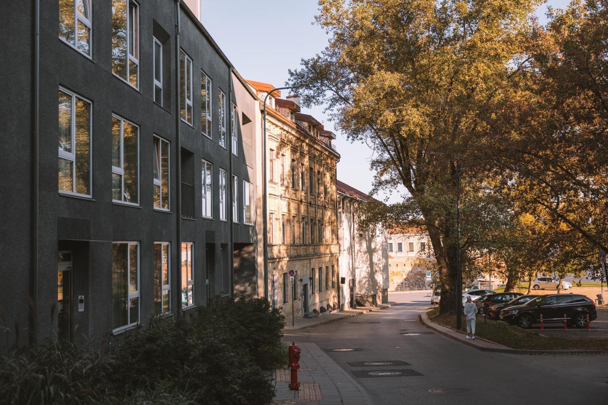 Ivis House - Stylish And Original Apartment In Vilnius Old Town Exterior photo
